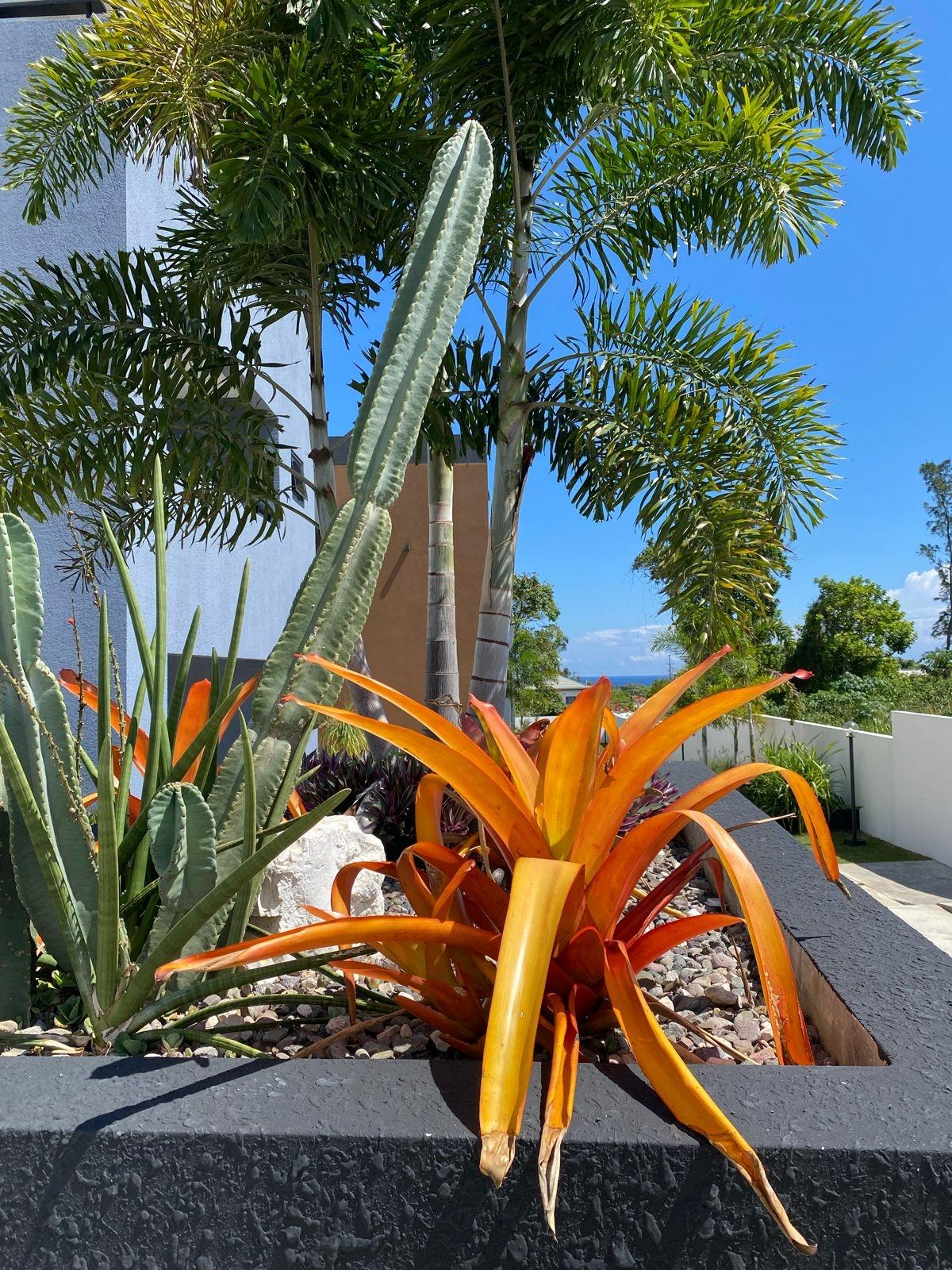 Fourteenth image of 10-53 Cardiff Hall in Runaway Bay, St. Ann, Jamaica - property is For Sale