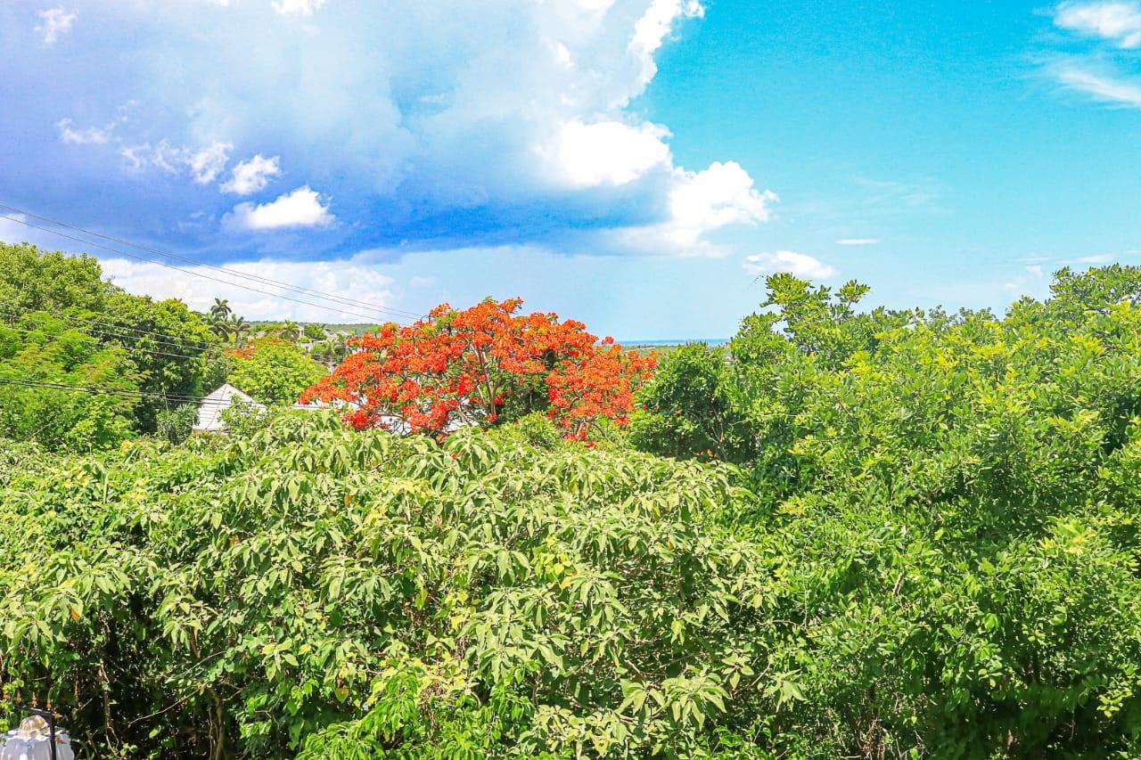 Twenty-Eighth image of Lot 369 Ironshore Montego Bay in Montego Bay, St. James, Jamaica - property is For Sale