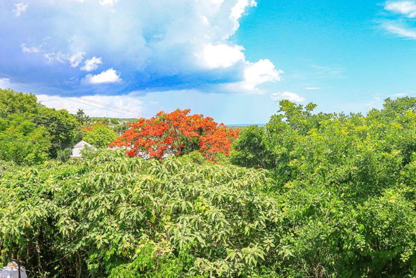 Twenty-Eighth image of Lot 369 Ironshore Montego Bay in Montego Bay, St. James, Jamaica - property is For Sale
