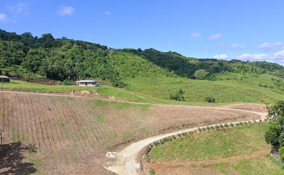 First image of Bigwoods, Darliston in Bigwoods, Westmoreland, Jamaica - property is For Sale