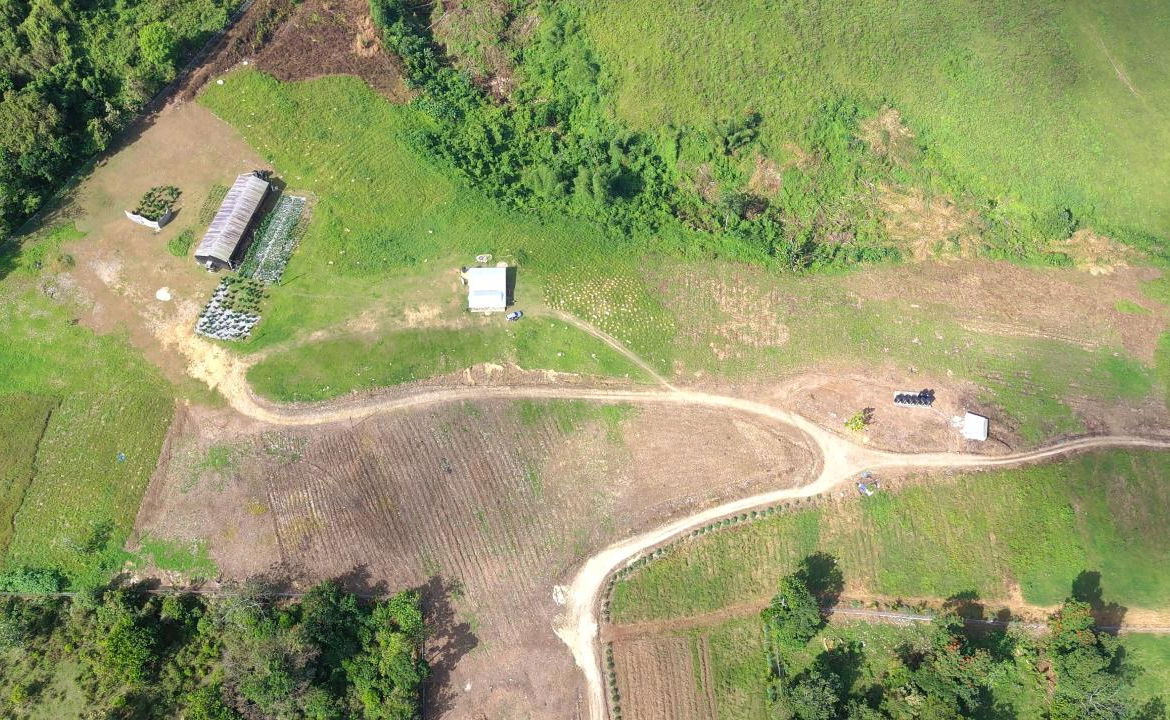 Third image of Bigwoods, Darliston in Bigwoods, Westmoreland, Jamaica - property is For Sale