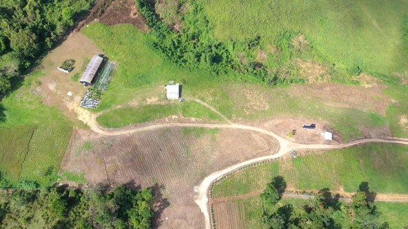 Third image of Bigwoods, Darliston in Bigwoods, Westmoreland, Jamaica - property is For Sale