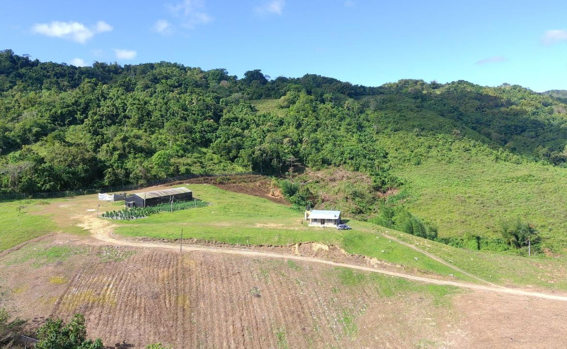 Fifth image of Bigwoods, Darliston in Bigwoods, Westmoreland, Jamaica - property is For Sale