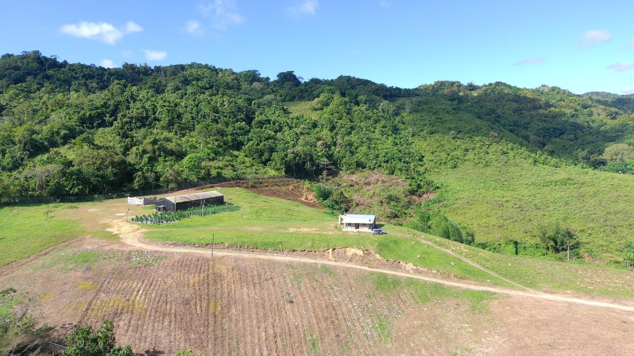 Fifth image of Bigwoods, Darliston in Bigwoods, Westmoreland, Jamaica - property is For Sale