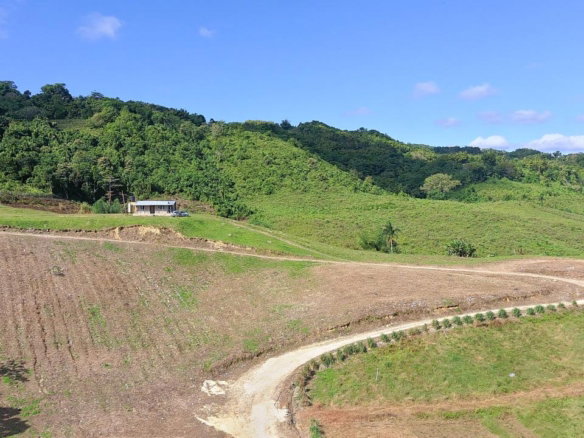 First image of Bigwoods, Darliston in Bigwoods, Westmoreland, Jamaica - property is For Sale