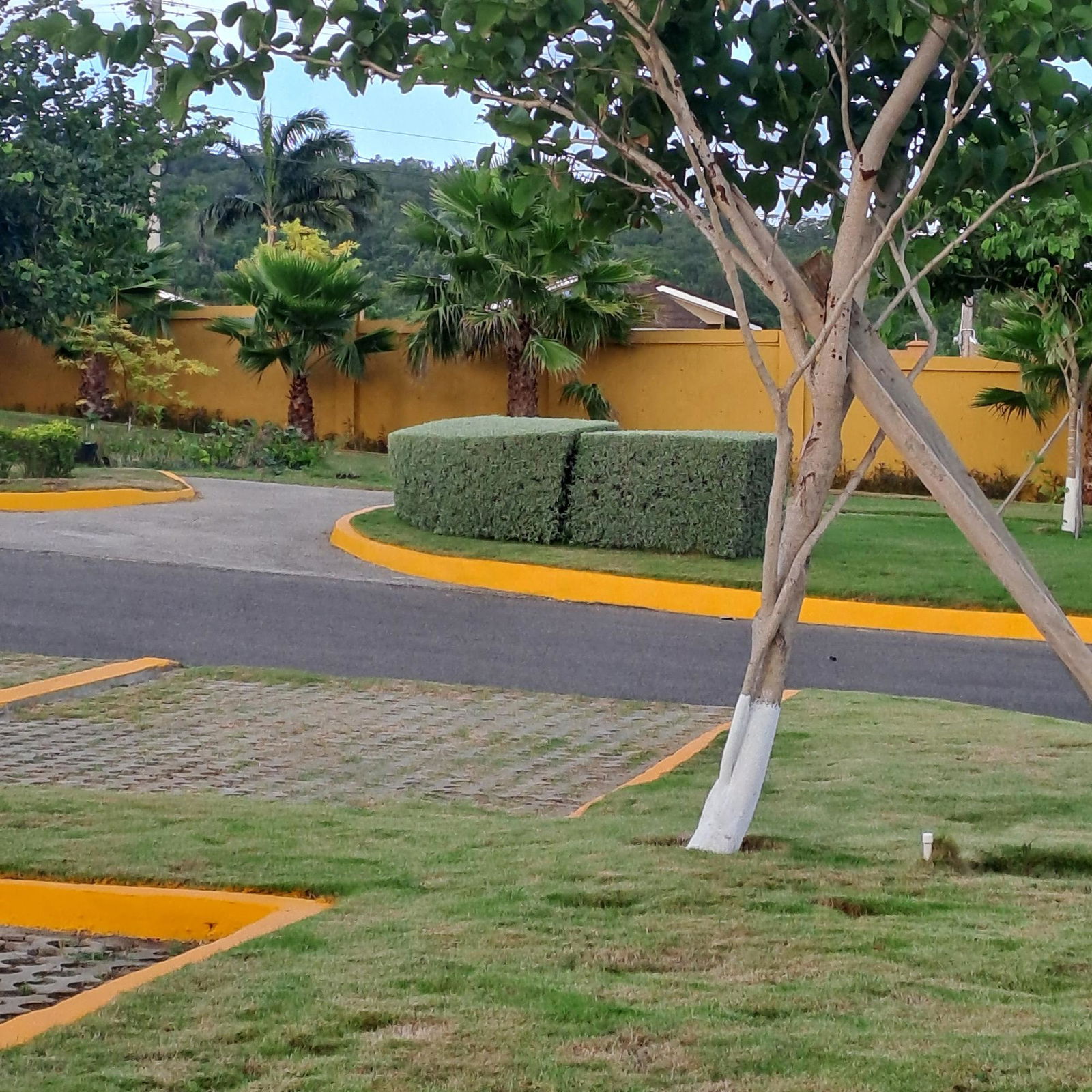 Twelfth image of Lot 743- Stonebrook Manor in STONEBROOK, Trelawny, Jamaica - property is For Rent