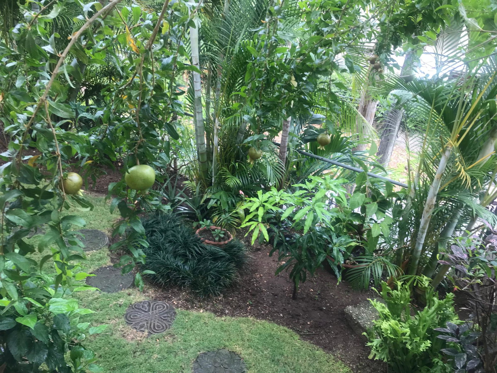 Twenty-Fourth image of 92 Mannings Hill Road in Kingston 8, St. Andrew, Jamaica - property is For Sale