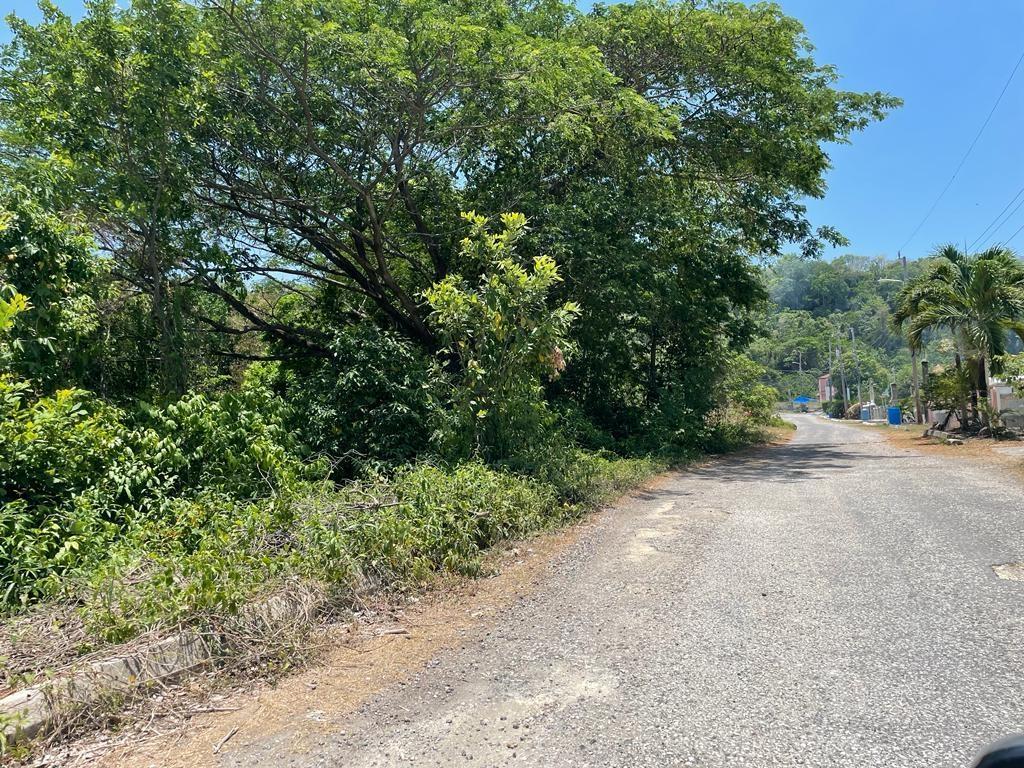 Fourth image of 39 Idlewild Galina in Oracabessa, St. Mary, Jamaica - property is For Sale