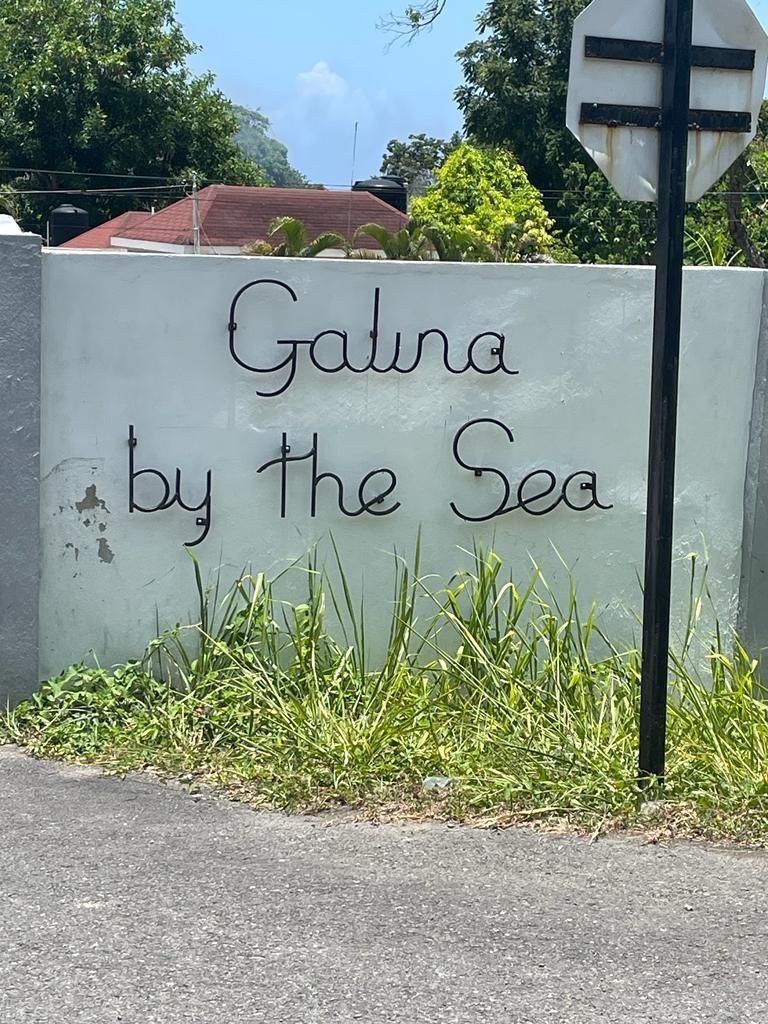 Fifth image of 39 Idlewild Galina in Oracabessa, St. Mary, Jamaica - property is For Sale