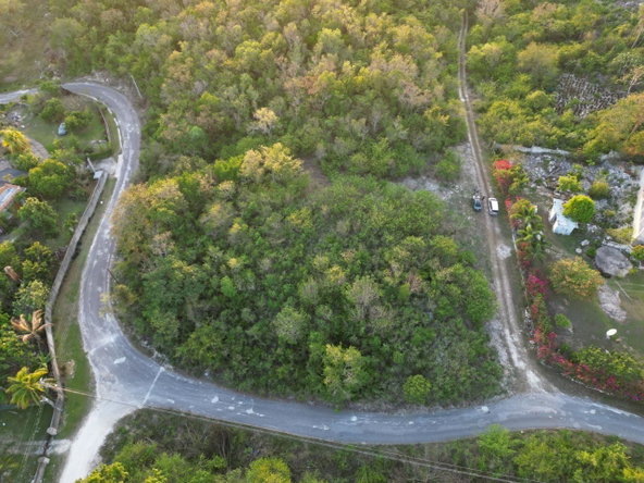 Eleventh image of 66 Pitkelleney in Negril, Westmoreland, Jamaica - property is For Sale