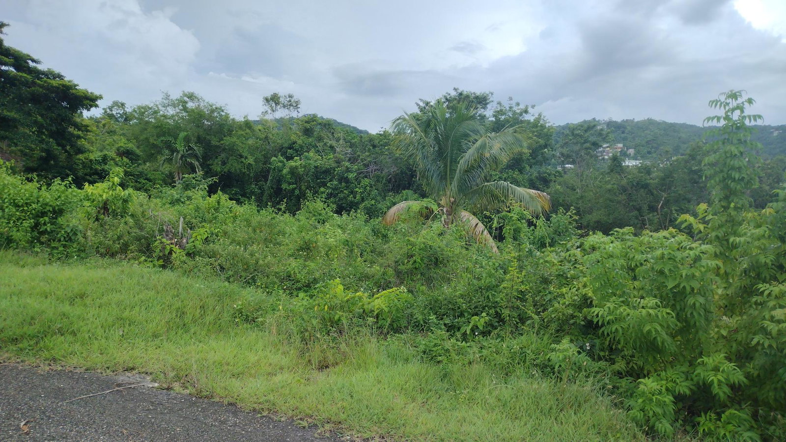 Fifth image of Lot-139 Lombardia Circle in Montego Bay, St. James, Jamaica - property is For Sale