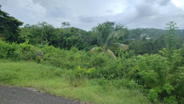 Fifth image of Lot-139 Lombardia Circle in Montego Bay, St. James, Jamaica - property is For Sale