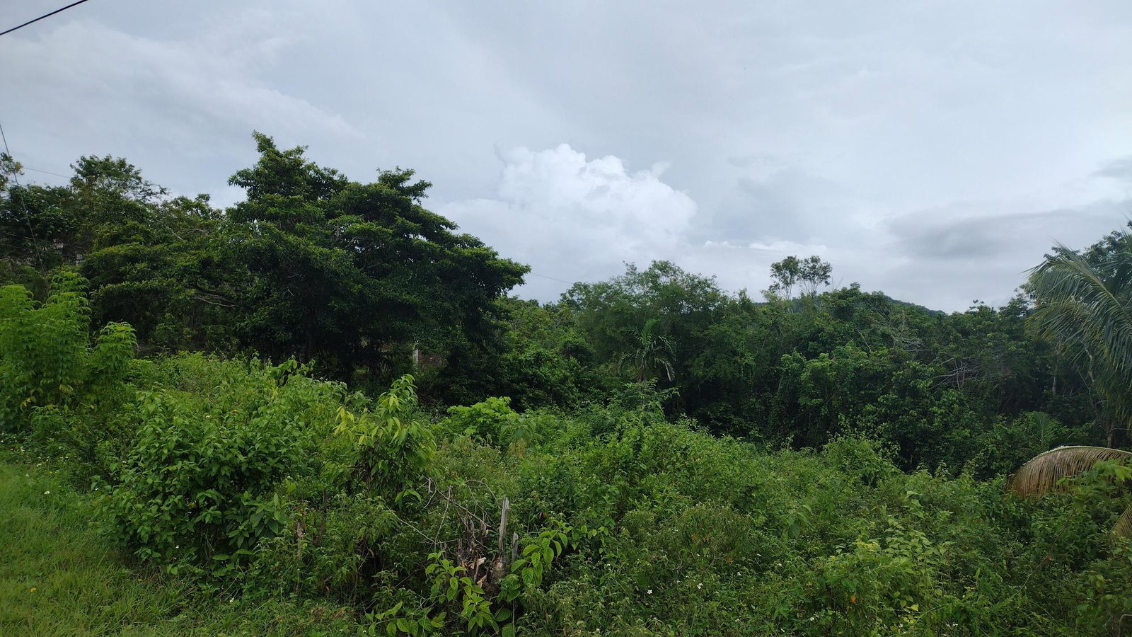 Sixth image of Lot-139 Lombardia Circle in Montego Bay, St. James, Jamaica - property is For Sale