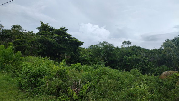Sixth image of Lot-139 Lombardia Circle in Montego Bay, St. James, Jamaica - property is For Sale