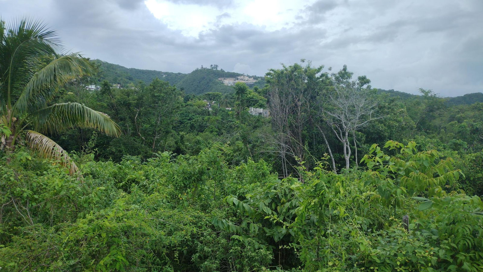 Seventh image of Lot-139 Lombardia Circle in Montego Bay, St. James, Jamaica - property is For Sale