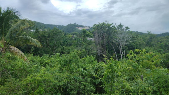 Seventh image of Lot-139 Lombardia Circle in Montego Bay, St. James, Jamaica - property is For Sale