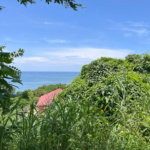 First image of 424 Lena Avenue in Cave, Westmoreland, Jamaica - property is For Sale