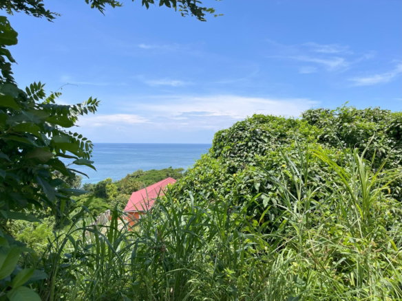 First image of 424 Lena Avenue in Cave, Westmoreland, Jamaica - property is For Sale