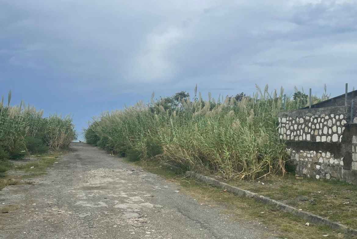 Twelfth image of 90 Albion Estate in Albion Estate, St. Thomas, Jamaica - property is For Sale