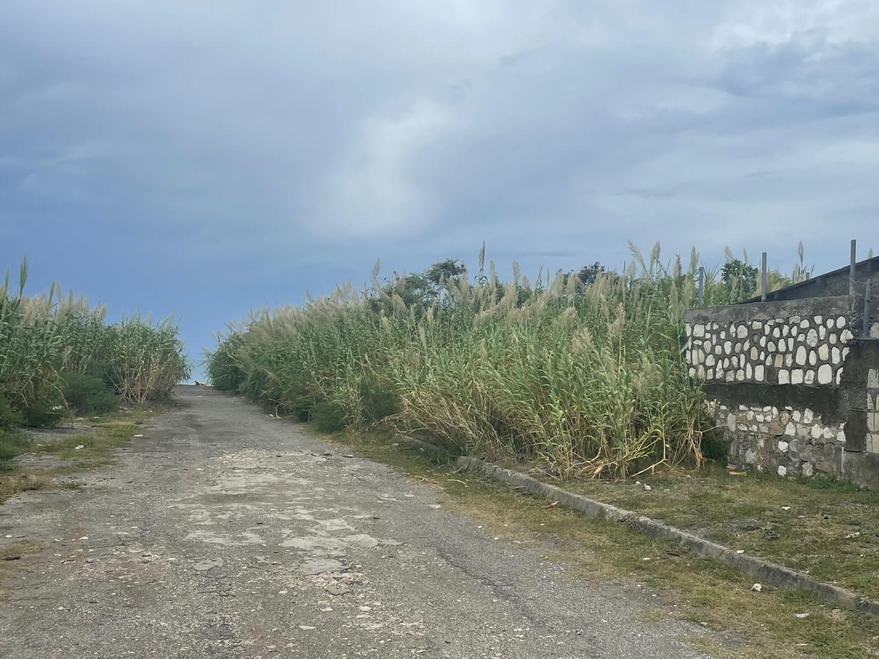 Twelfth image of 90 Albion Estate in Albion Estate, St. Thomas, Jamaica - property is For Sale