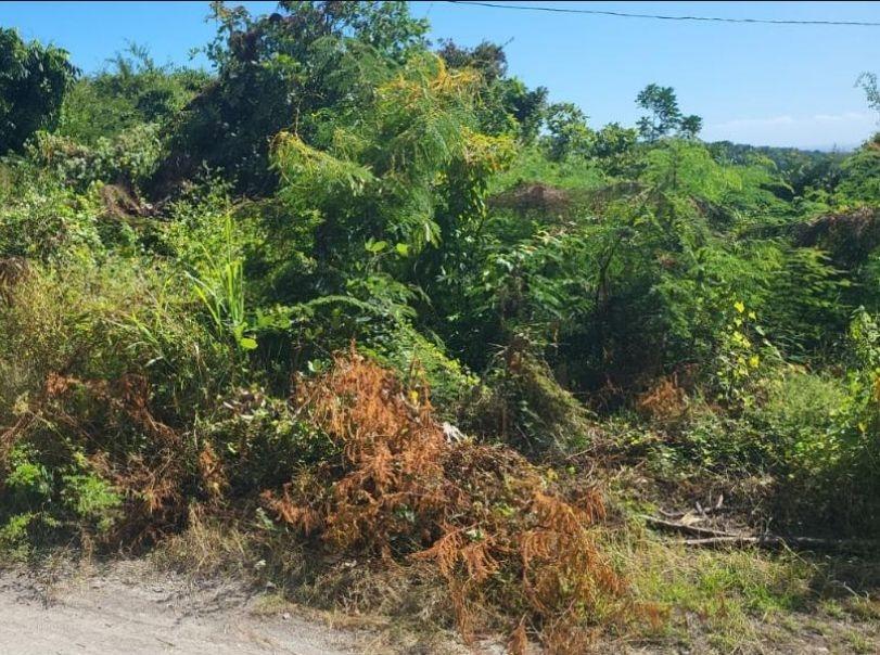 Third image of 90 Albion Estate in Albion Estate, St. Thomas, Jamaica - property is For Sale