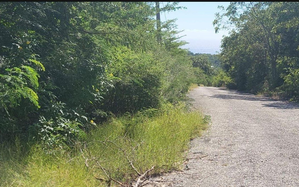 Fourth image of 90 Albion Estate in Albion Estate, St. Thomas, Jamaica - property is For Sale