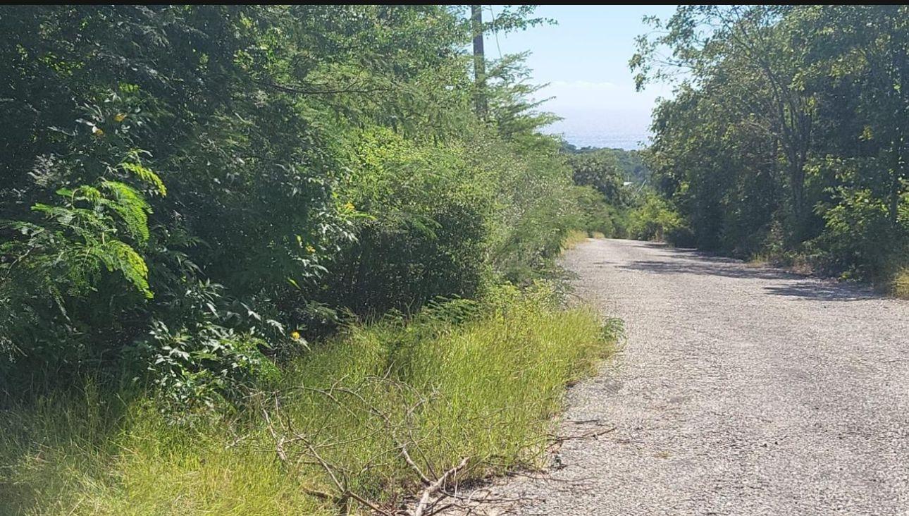 Fourth image of 90 Albion Estate in Albion Estate, St. Thomas, Jamaica - property is For Sale