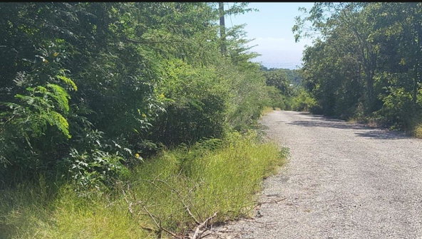 Fourth image of 90 Albion Estate in Albion Estate, St. Thomas, Jamaica - property is For Sale