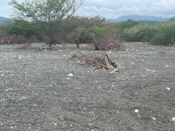 Sixth image of 90 Albion Estate in Albion Estate, St. Thomas, Jamaica - property is For Sale