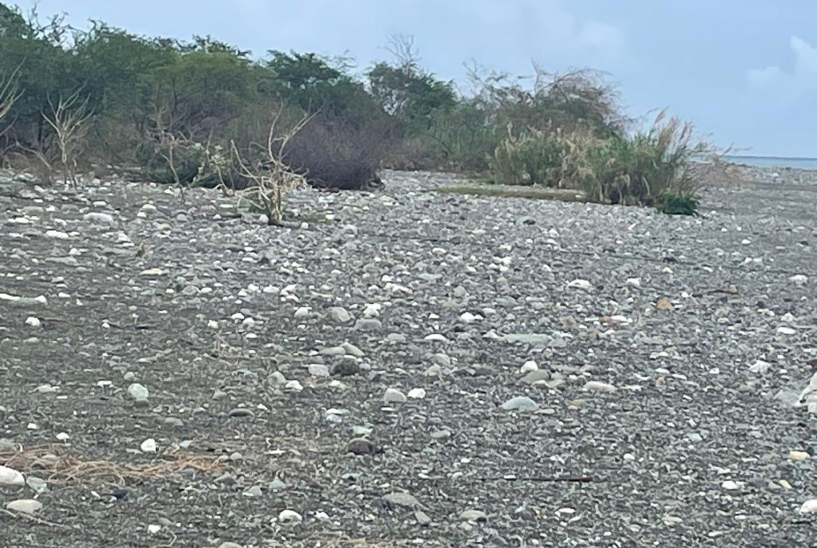 Ninth image of 90 Albion Estate in Albion Estate, St. Thomas, Jamaica - property is For Sale