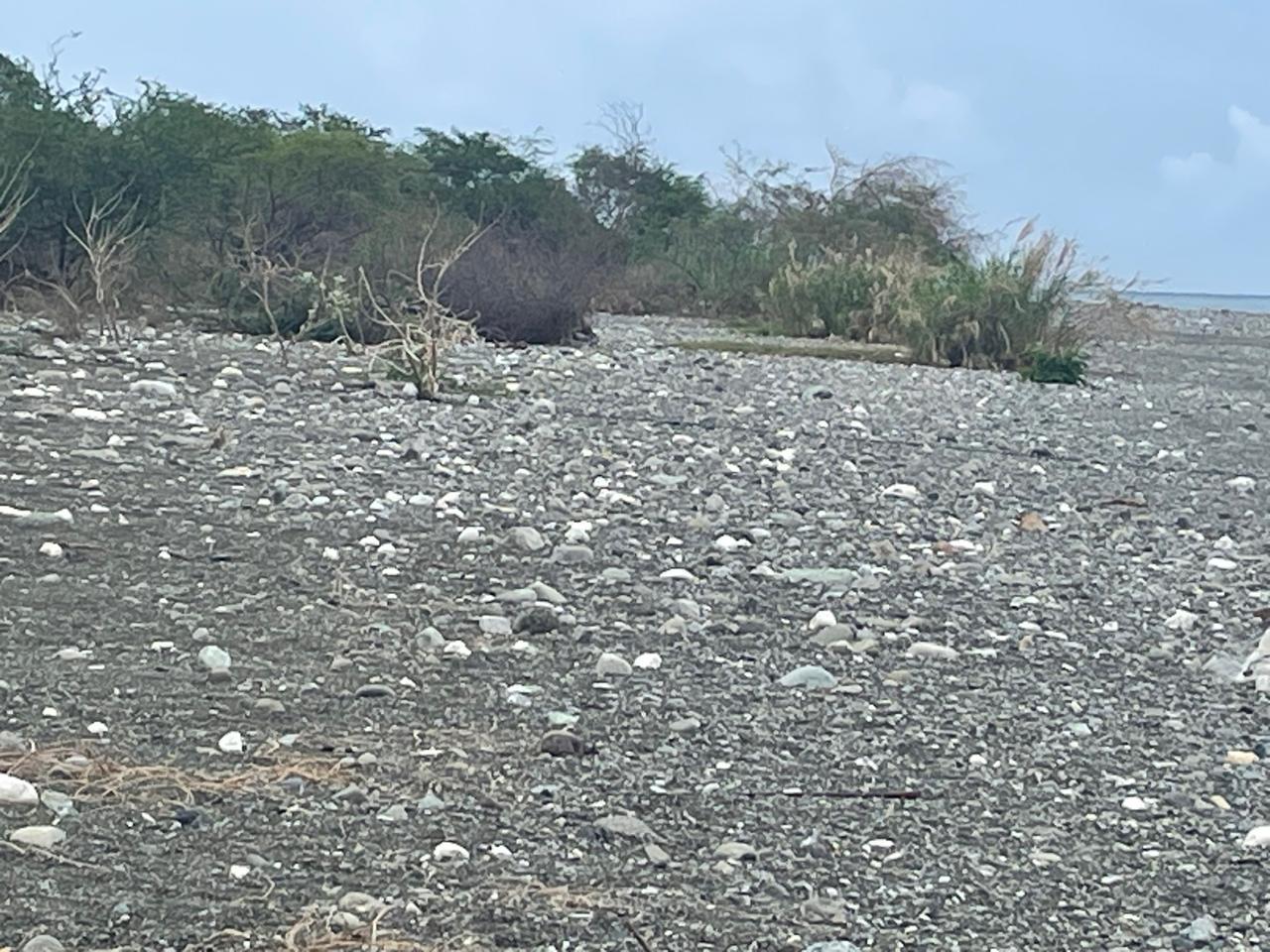 Ninth image of 90 Albion Estate in Albion Estate, St. Thomas, Jamaica - property is For Sale