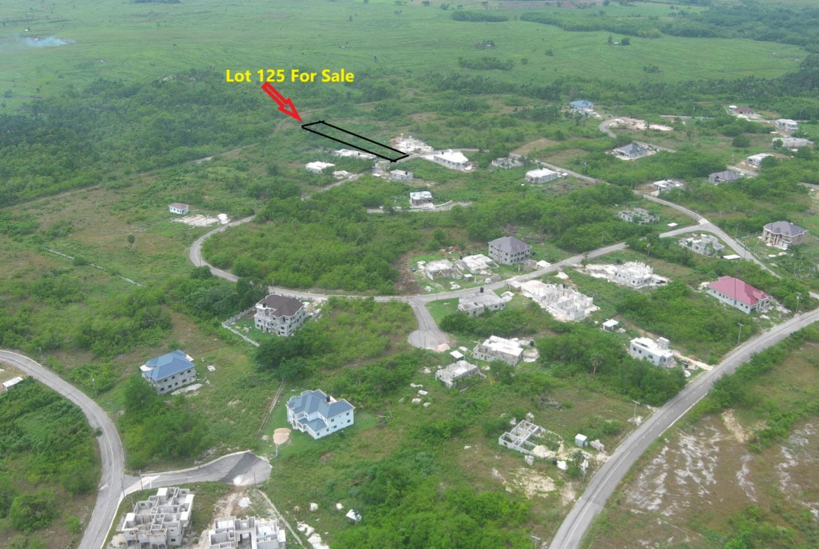 Second image of Lot 125 Palmbrook Estate in Lacovia, St. Elizabeth, Jamaica - property is For Sale