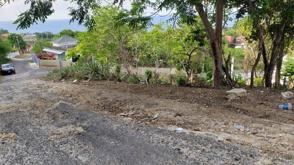 Fourteenth image of Lot 3a Esher Haughton Court in Green Island, Hanover, Jamaica - property is For Sale