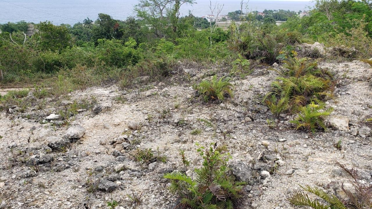 Sixteenth image of Lot 3a Esher Haughton Court in Green Island, Hanover, Jamaica - property is For Sale