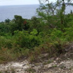 First image of Lot 3a Esher Haughton Court in Green Island, Hanover, Jamaica - property is For Sale