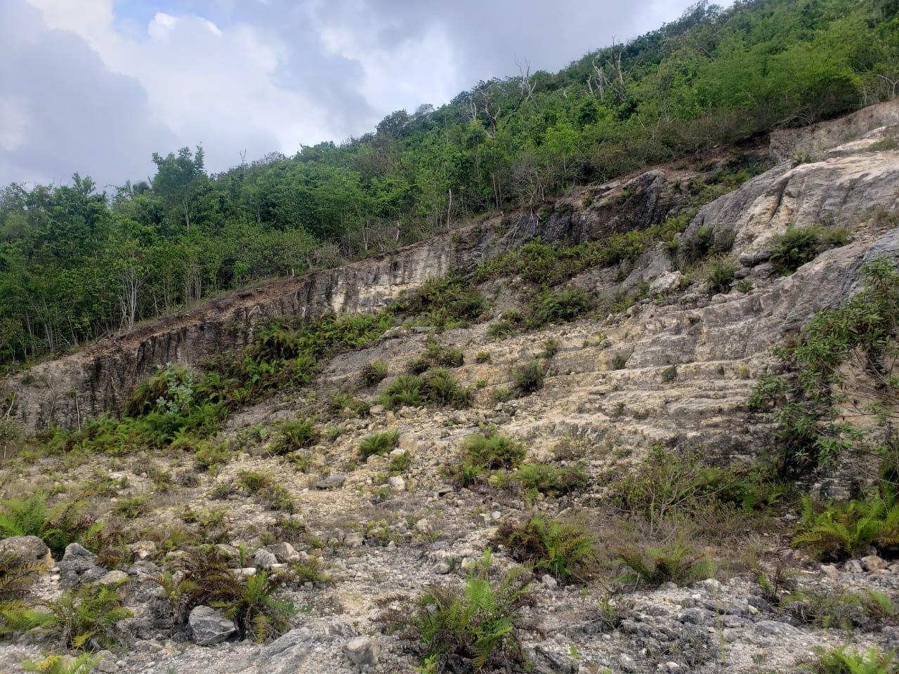 Eighteenth image of Lot 3a Esher Haughton Court in Green Island, Hanover, Jamaica - property is For Sale