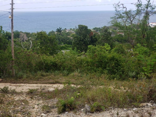 Nineteenth image of Lot 3a Esher Haughton Court in Green Island, Hanover, Jamaica - property is For Sale
