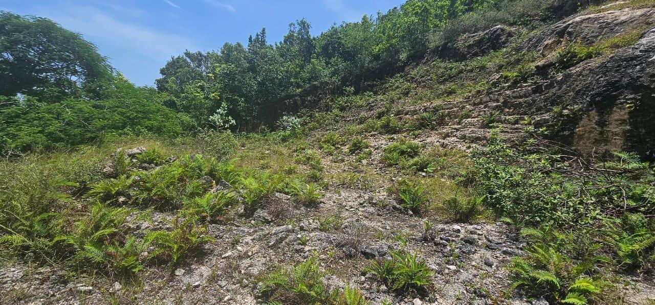 Third image of Lot 3a Esher Haughton Court in Green Island, Hanover, Jamaica - property is For Sale