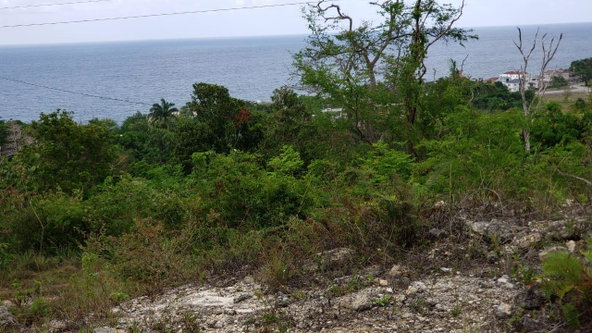 Fifth image of Lot 3a Esher Haughton Court in Green Island, Hanover, Jamaica - property is For Sale