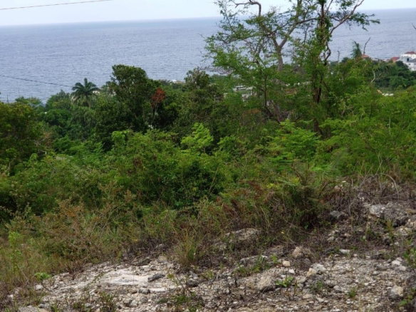 First image of Lot 3a Esher Haughton Court in Green Island, Hanover, Jamaica - property is For Sale