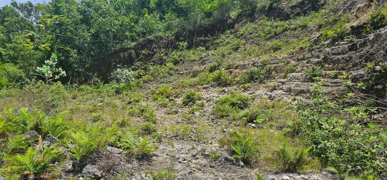 Seventh image of Lot 3a Esher Haughton Court in Green Island, Hanover, Jamaica - property is For Sale