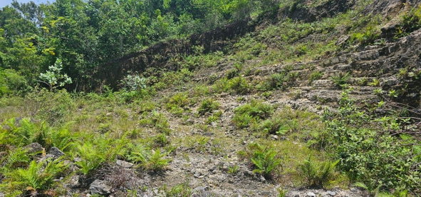 Seventh image of Lot 3a Esher Haughton Court in Green Island, Hanover, Jamaica - property is For Sale