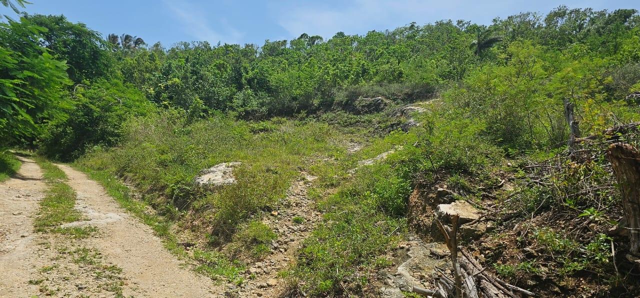 Eighth image of Lot 3a Esher Haughton Court in Green Island, Hanover, Jamaica - property is For Sale