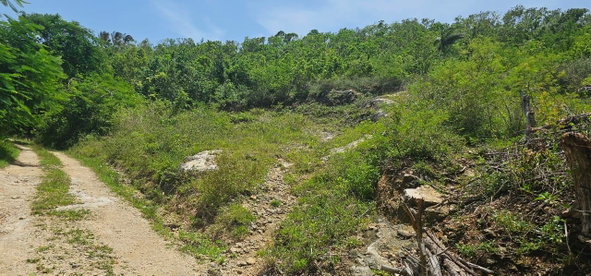 Eighth image of Lot 3a Esher Haughton Court in Green Island, Hanover, Jamaica - property is For Sale