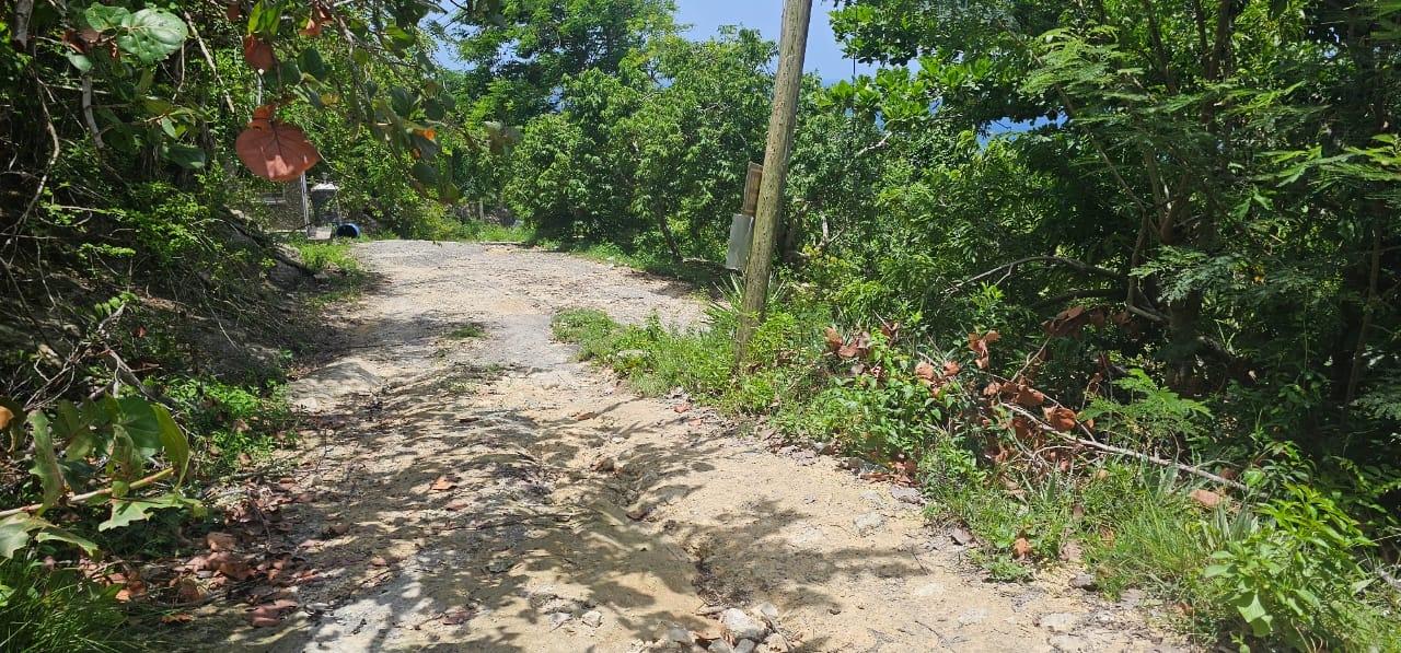 Ninth image of Lot 3a Esher Haughton Court in Green Island, Hanover, Jamaica - property is For Sale