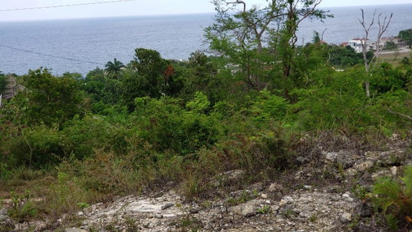 First image of Lot 3a Esher Haughton Court in Green Island, Hanover, Jamaica - property is For Sale