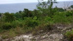 First image of Lot 3a Esher Haughton Court in Green Island, Hanover, Jamaica - property is For Sale