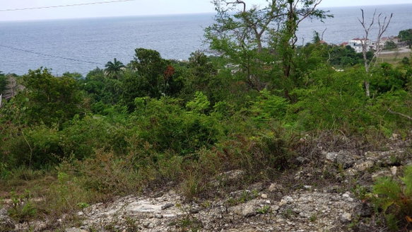 First image of Lot 3a Esher Haughton Court in Green Island, Hanover, Jamaica - property is For Sale