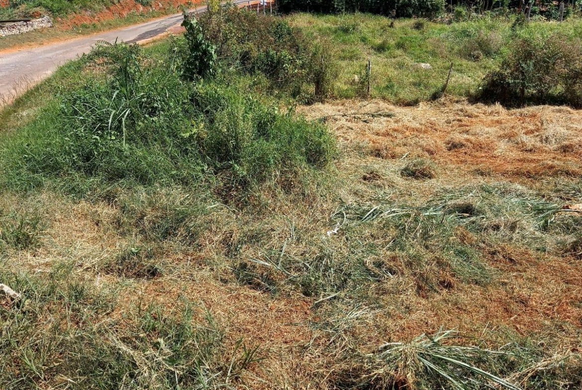 Second image of Knowles Road, Mandeville, in Mandeville, Manchester, Jamaica - property is For Sale