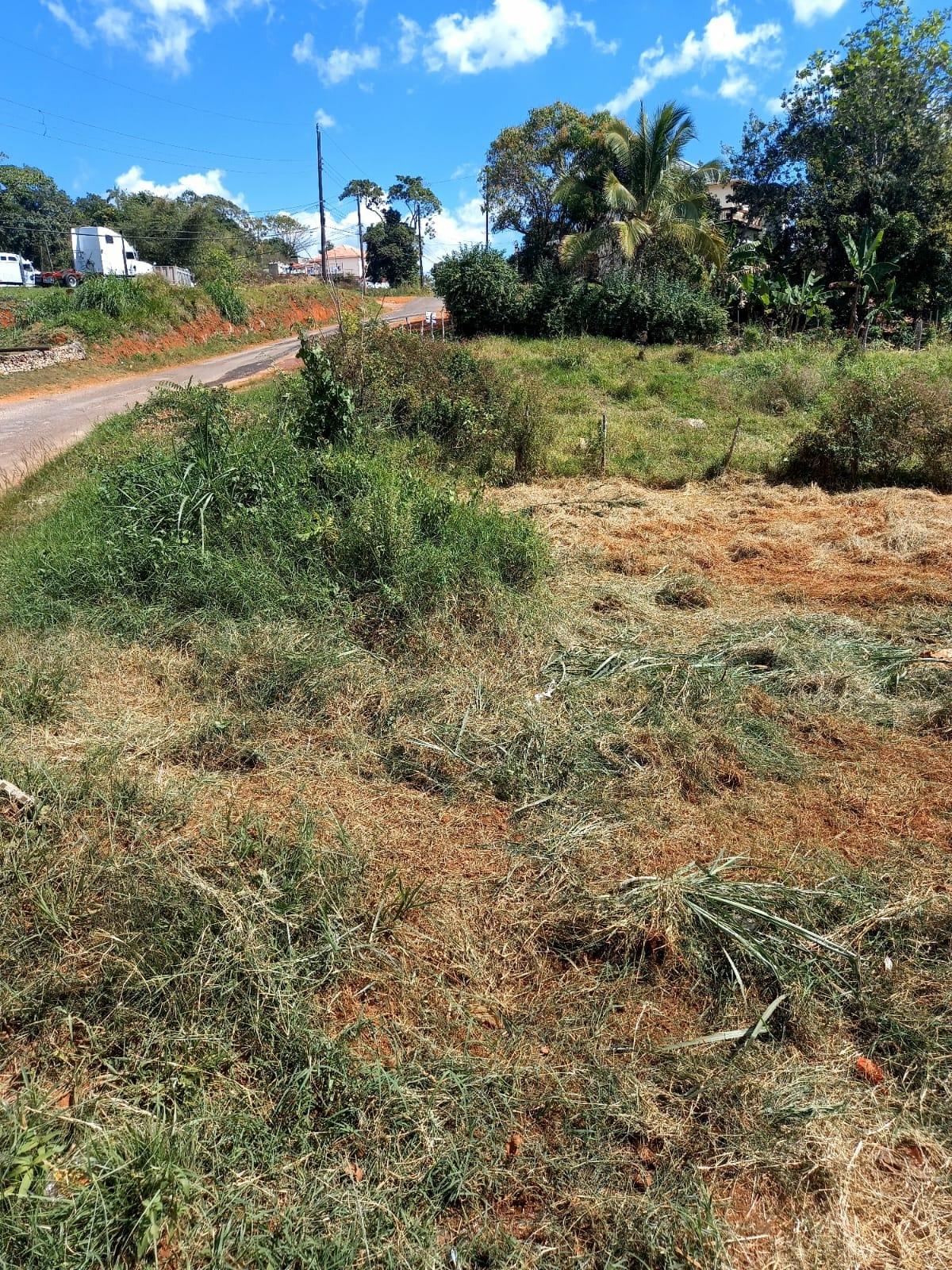 Prime-12519-sq-ft-Residential-Lot-for-Sale-in-Mandeville-Manchester Second image of Knowles Road, Mandeville, in Mandeville, Manchester, Jamaica - property is For Sale